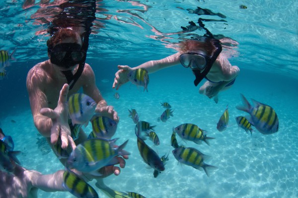 Belize-Wildlife-Tours-Placencia-Beach-Snorkelling