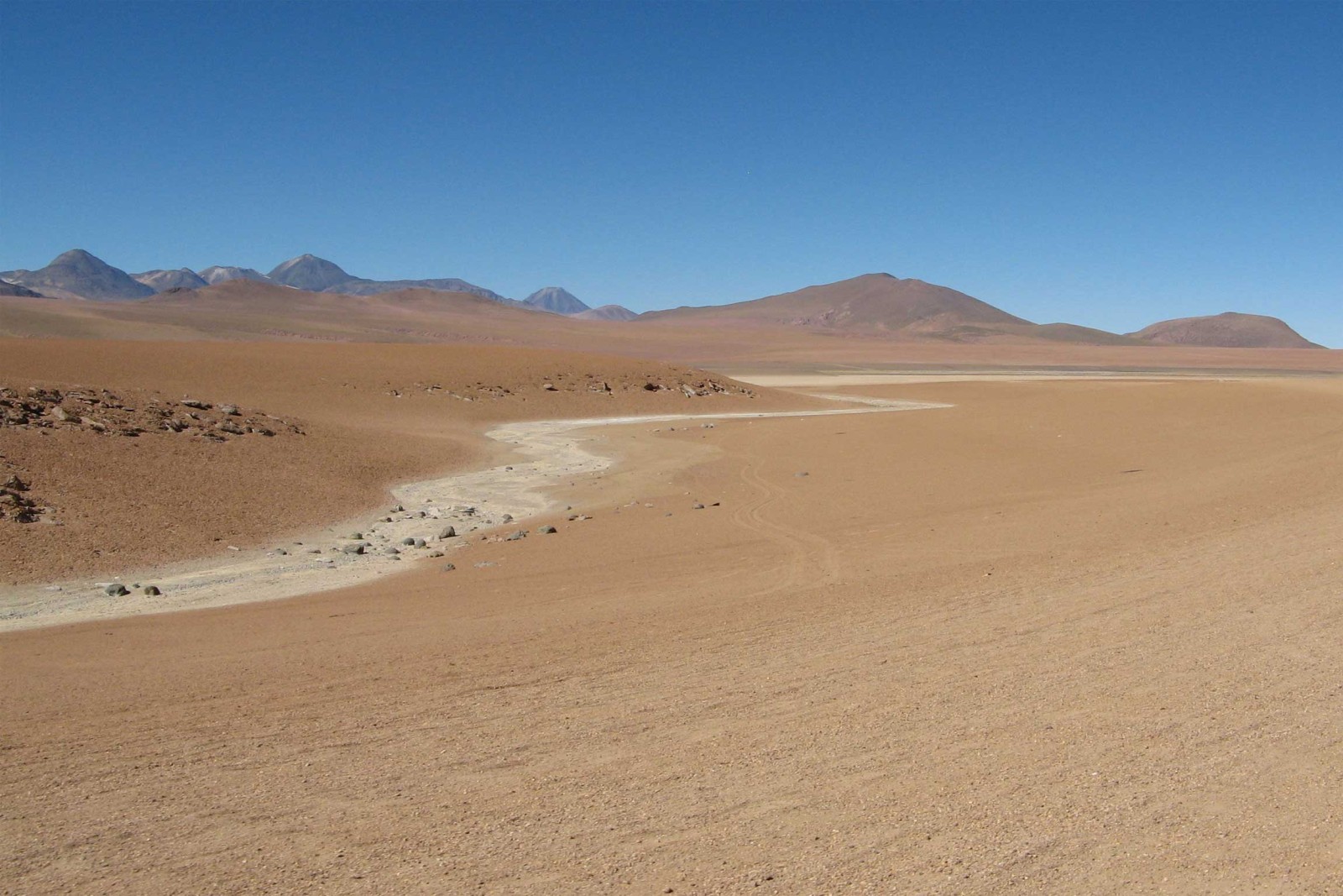 Atacama Desert - Reef and Rainforest Tours