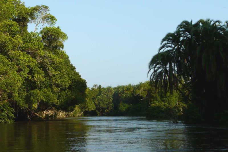 Congo-Wildlife-Tours-Itinerary-1_Odzala-Lekoli-river